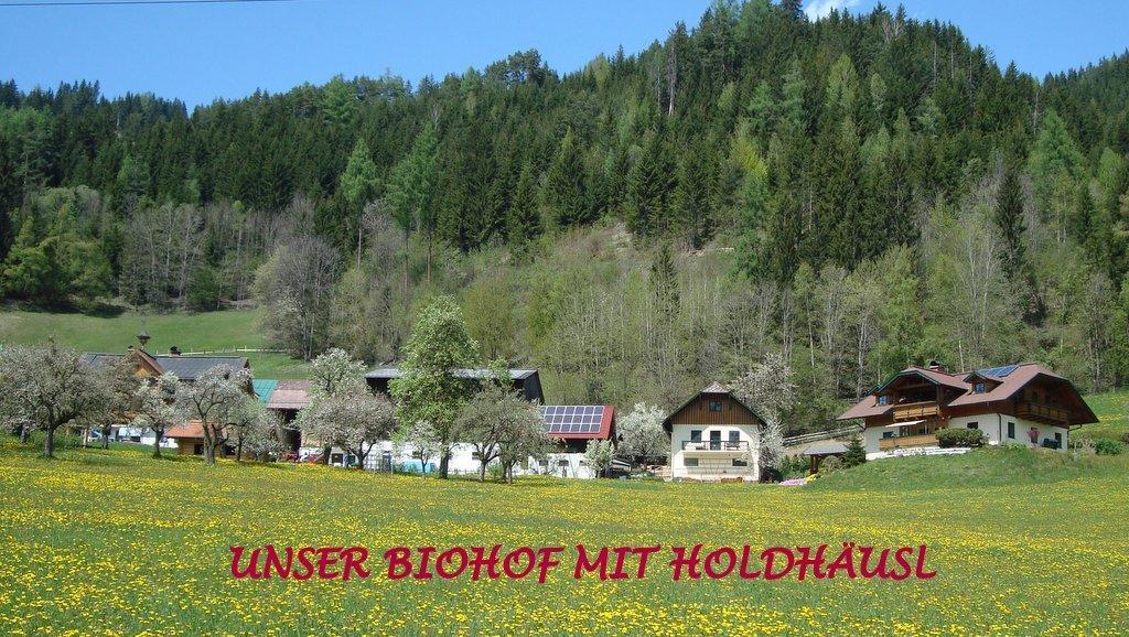 Апартаменти Holdhaeusl Шладмінг Номер фото